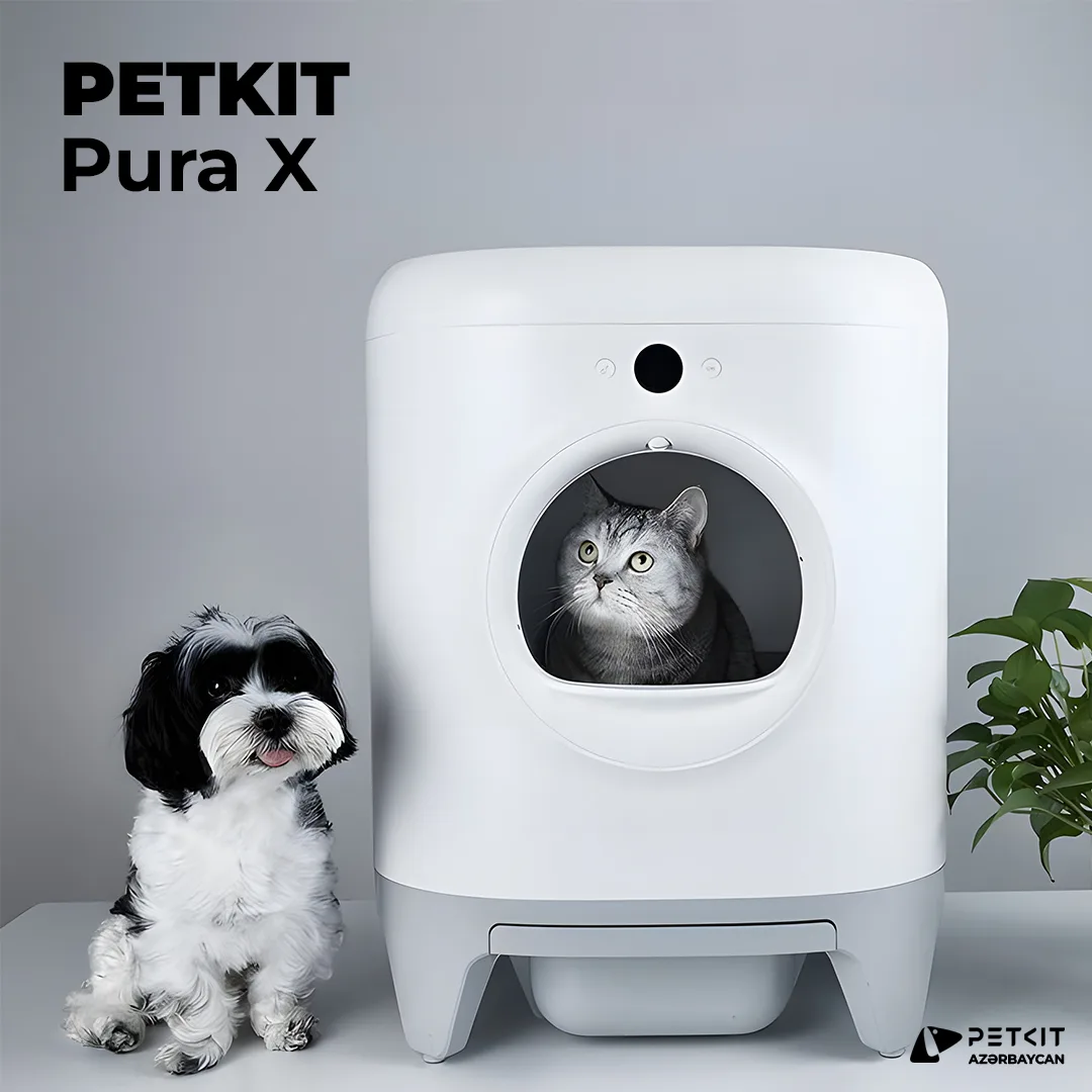 Petkit Pura X